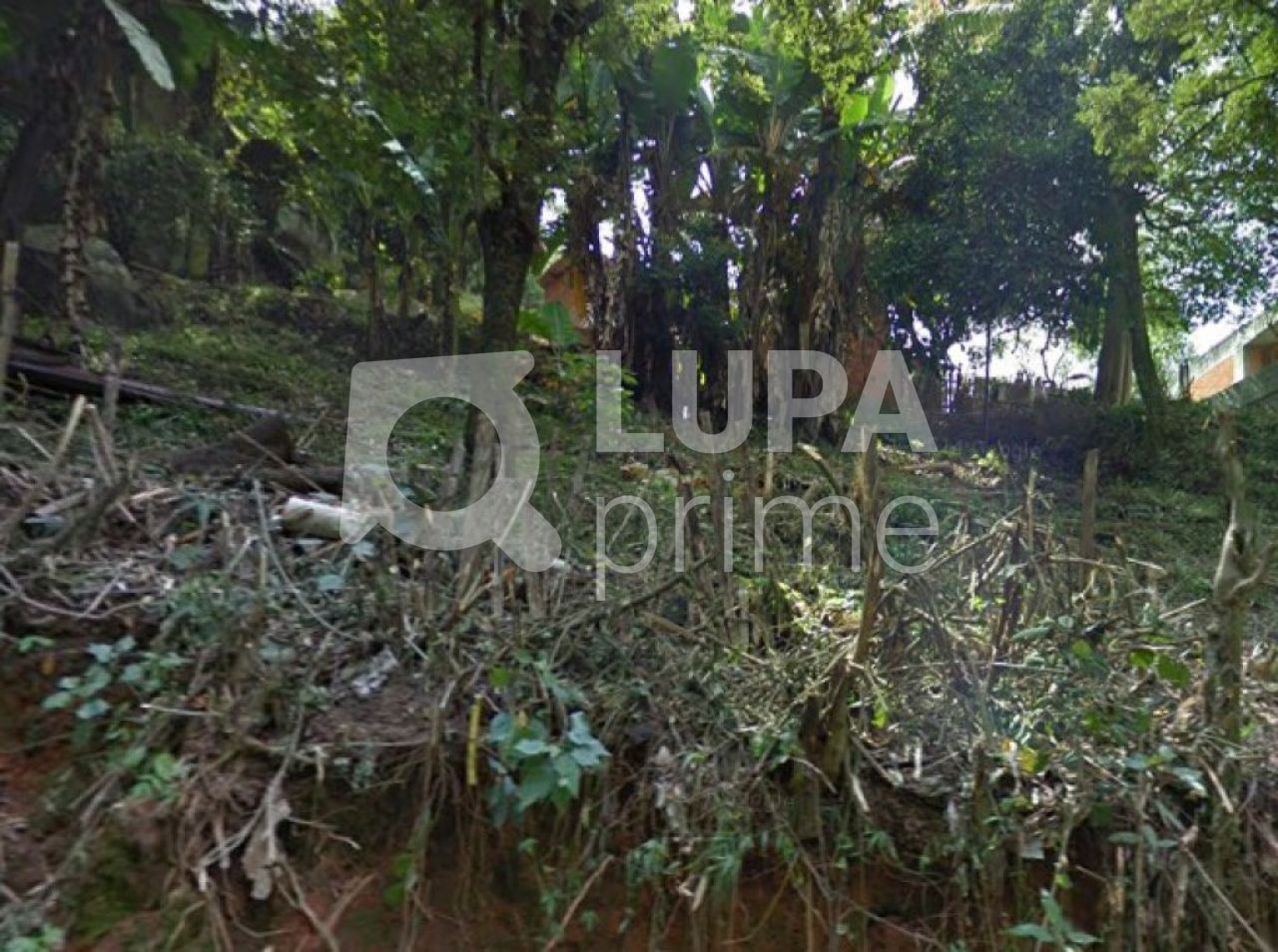 terreno-venda-sao-paulo-vila-albertina-LS10464