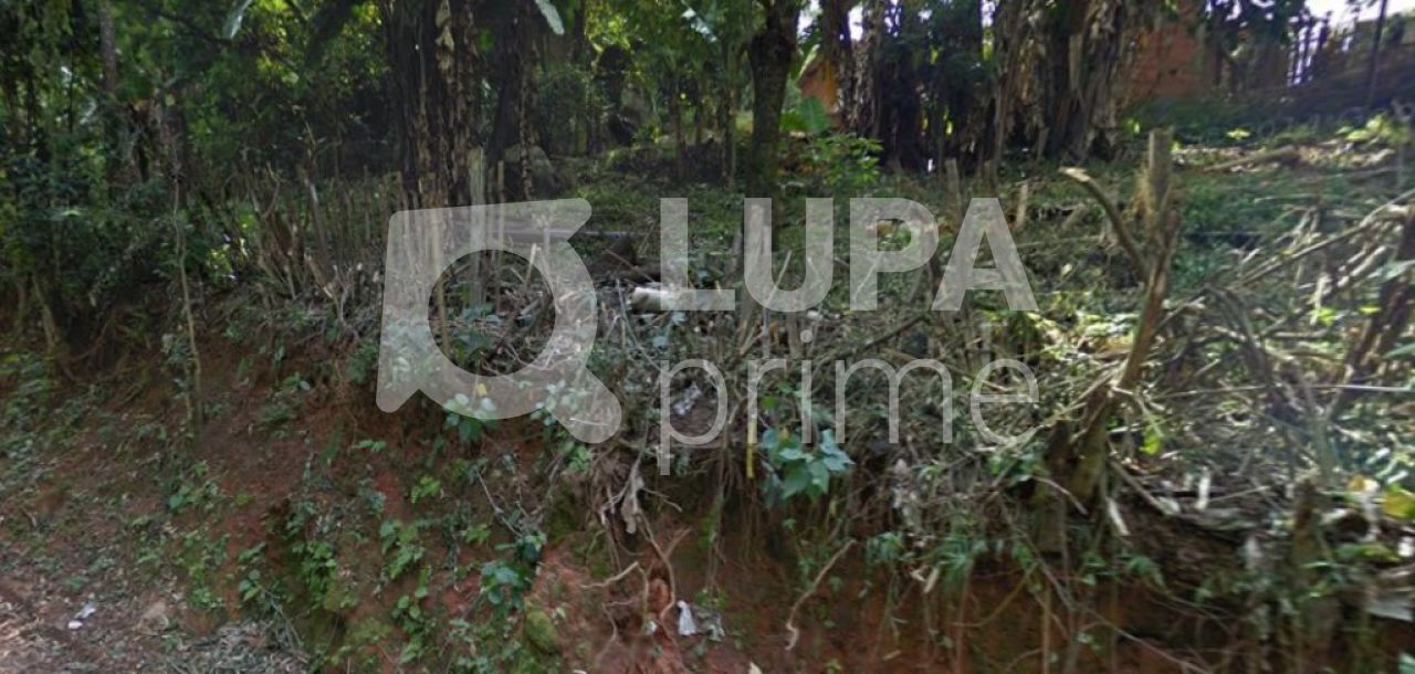 terreno-venda-sao-paulo-vila-albertina-LS10464