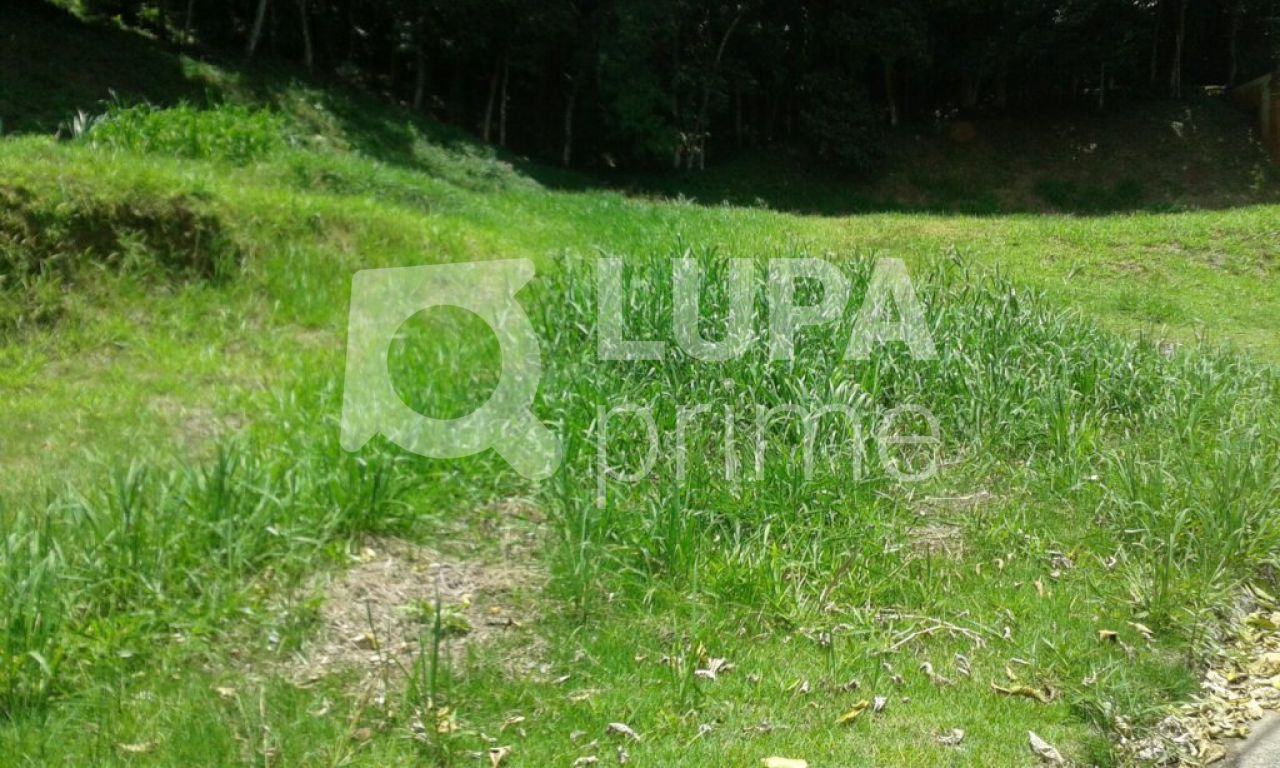 terreno-venda-sao-paulo-jardim-itatinga-LS10873