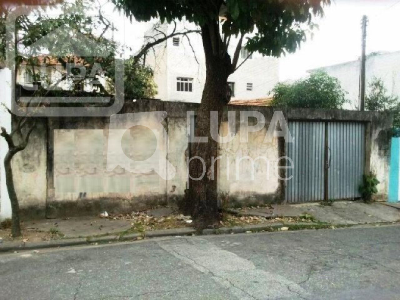 terreno-venda-sao-paulo-vila-isolina-mazzei-375m2-LS10959