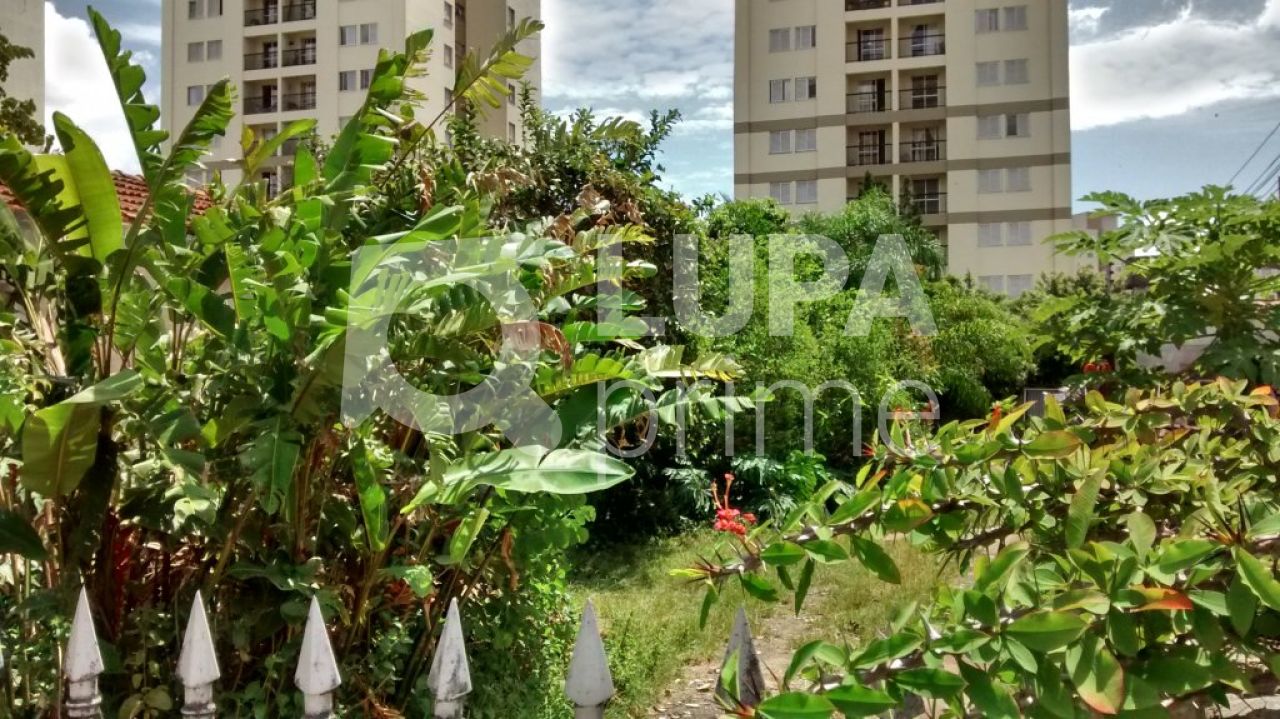 terreno-venda-sao-paulo-casa-verde-780m2-LS11074