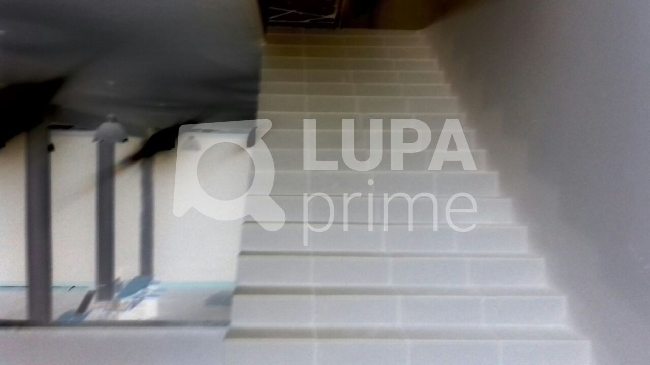 Depósito-Galpão, 900 m² - Foto 4