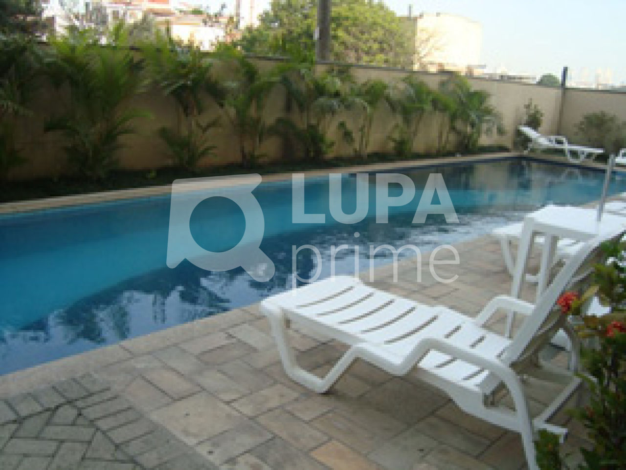 apartamento-venda-sao-paulo-vila-roque-2dormitorios-1vaga-55m2-LS1148