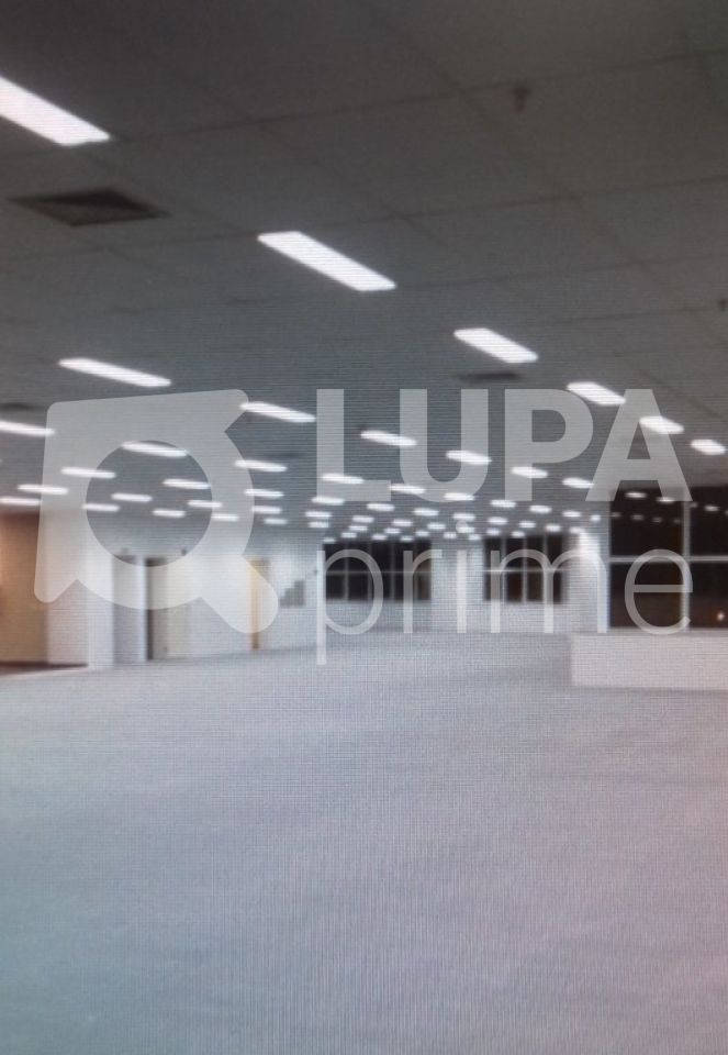conj-comercial-locacao-sao-paulo-jardim-das-laranjeiras-20vagas-1820m2-LS11554