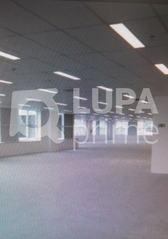 conj-comercial-locacao-sao-paulo-jardim-das-laranjeiras-20vagas-1820m2-LS11554