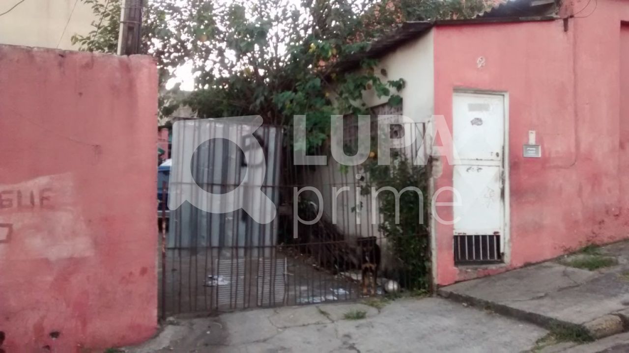 terreno-venda-sao-paulo-casa-verde-alta-360m2-LS11649