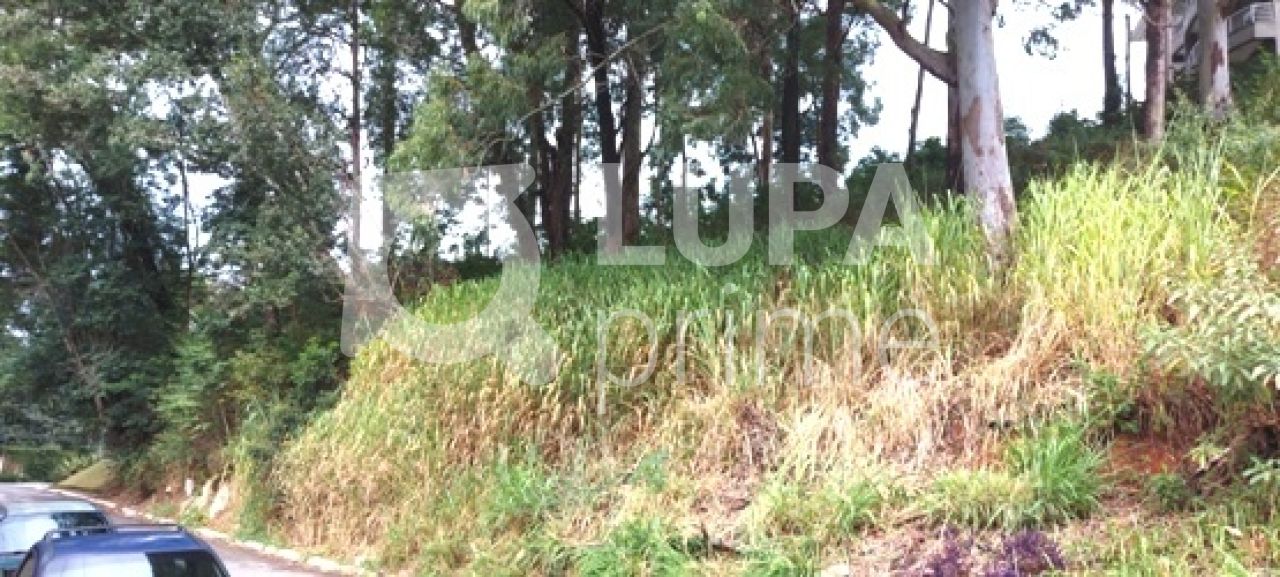 terreno-venda-sao-paulo-tucuruvi-858m2-LS12307