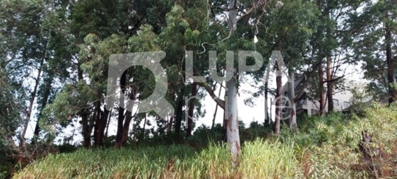 terreno-venda-sao-paulo-tucuruvi-858m2-LS12307