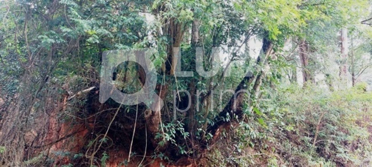 terreno-venda-sao-paulo-tucuruvi-858m2-LS12307