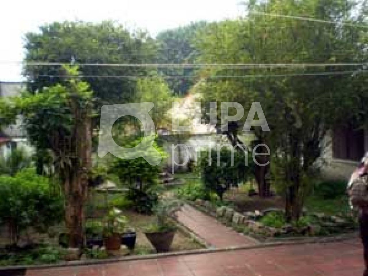 Casa Comercial, 400 m² - Foto 3