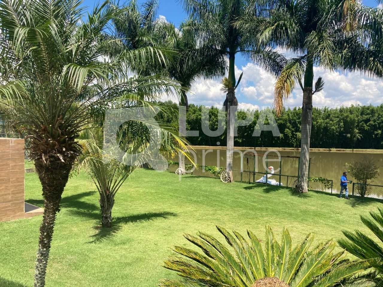 Casa, 4 quartos, 520 m² - Foto 19