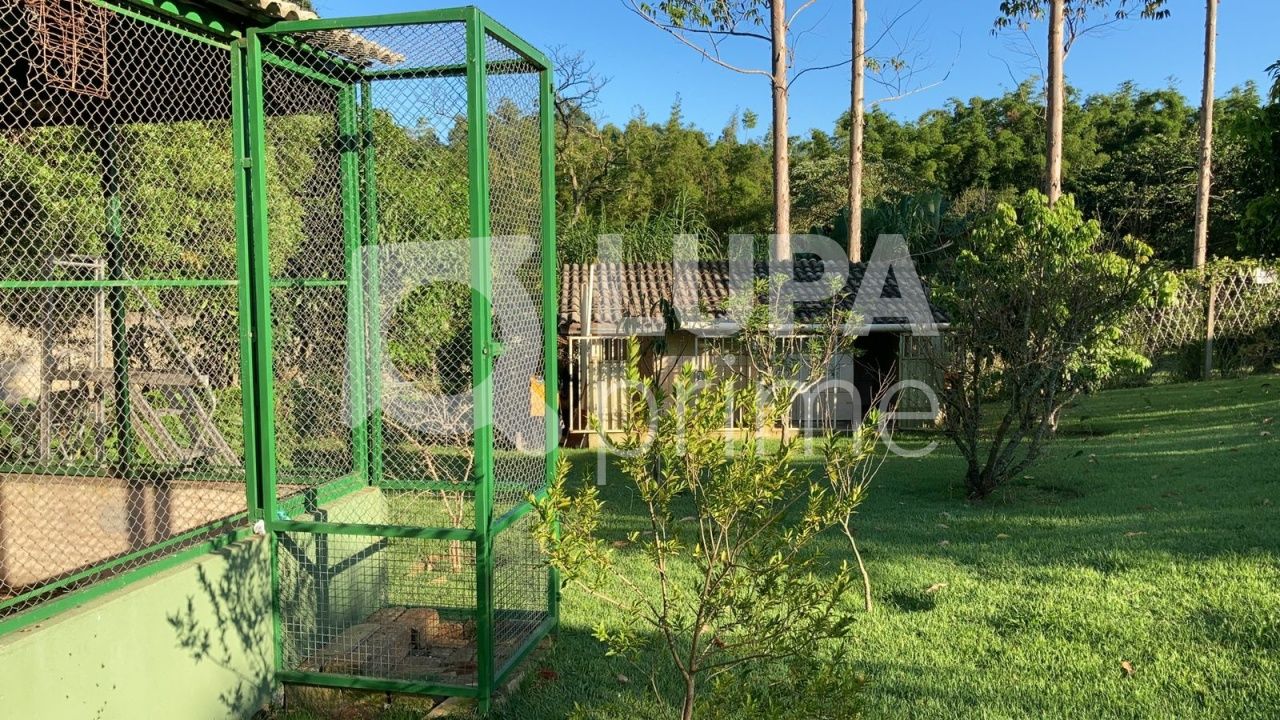 Casa, 4 quartos, 520 m² - Foto 20