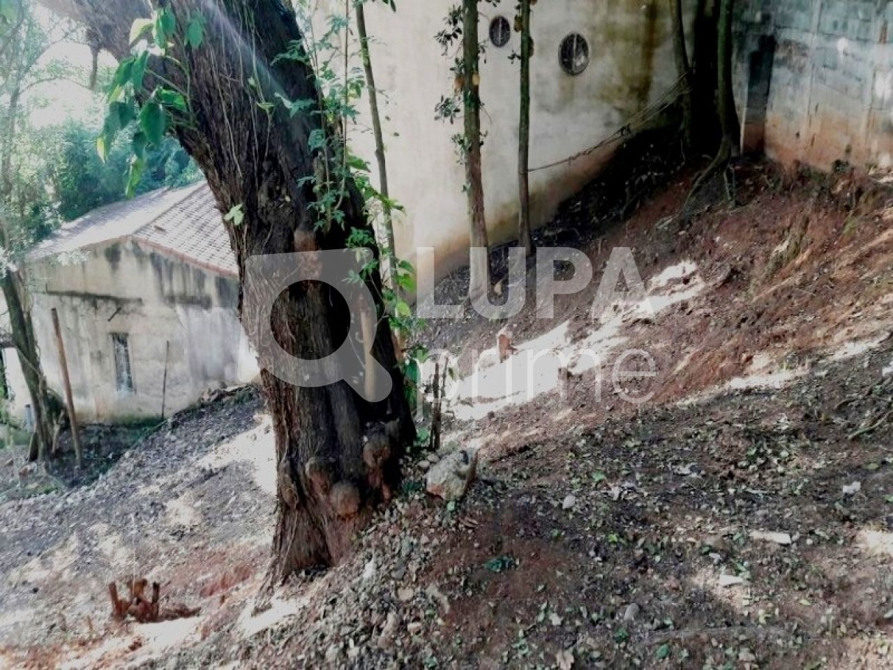 terreno-venda-sao-paulo-tucuruvi-204m2-LS12836