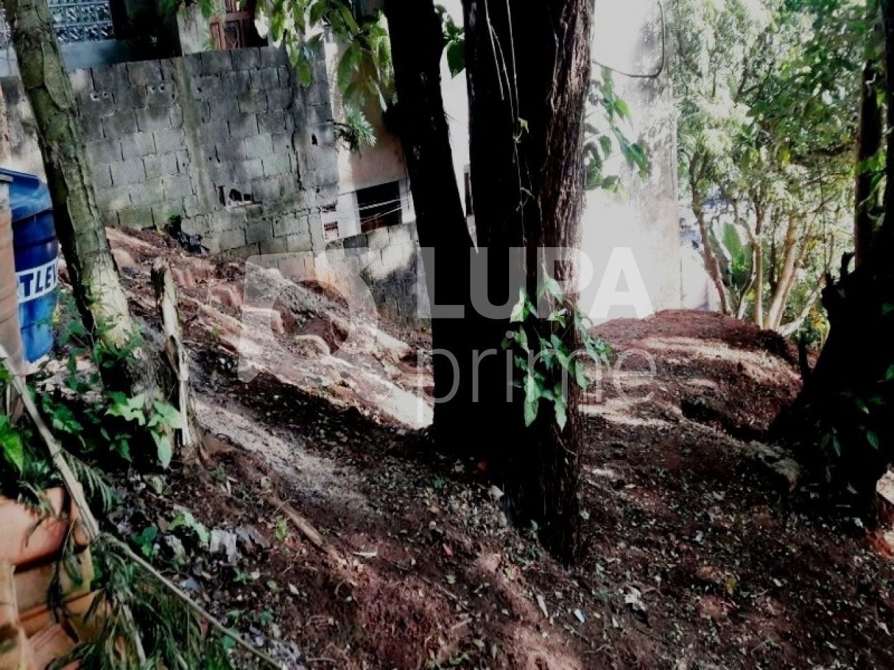 terreno-venda-sao-paulo-tucuruvi-204m2-LS12836