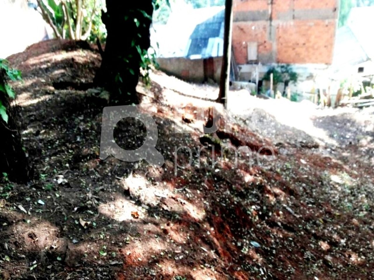 terreno-venda-sao-paulo-tucuruvi-204m2-LS12836