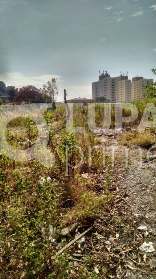 Terreno, 7700 m² - Foto 3