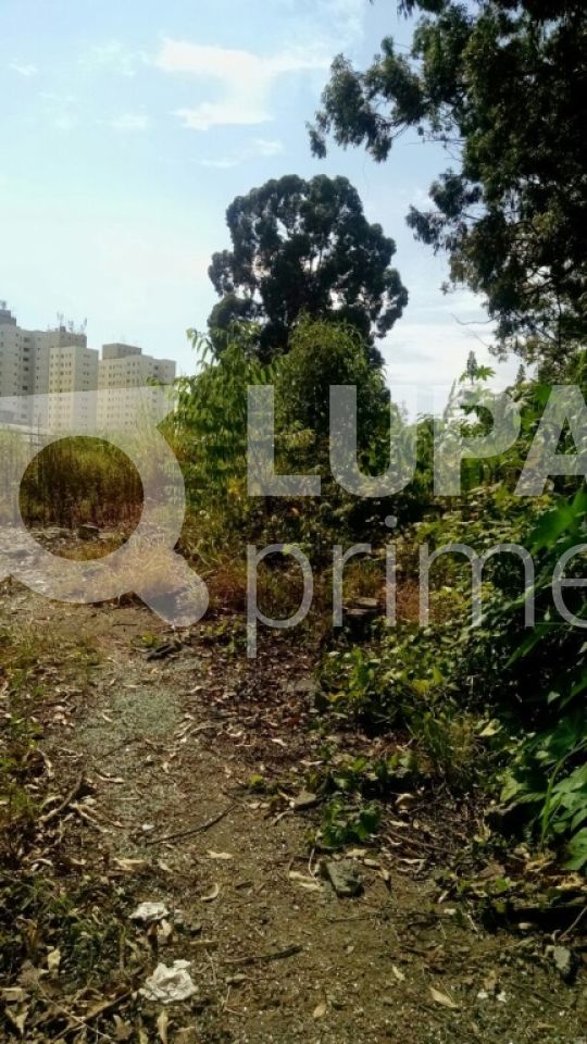 Terreno, 7700 m² - Foto 2