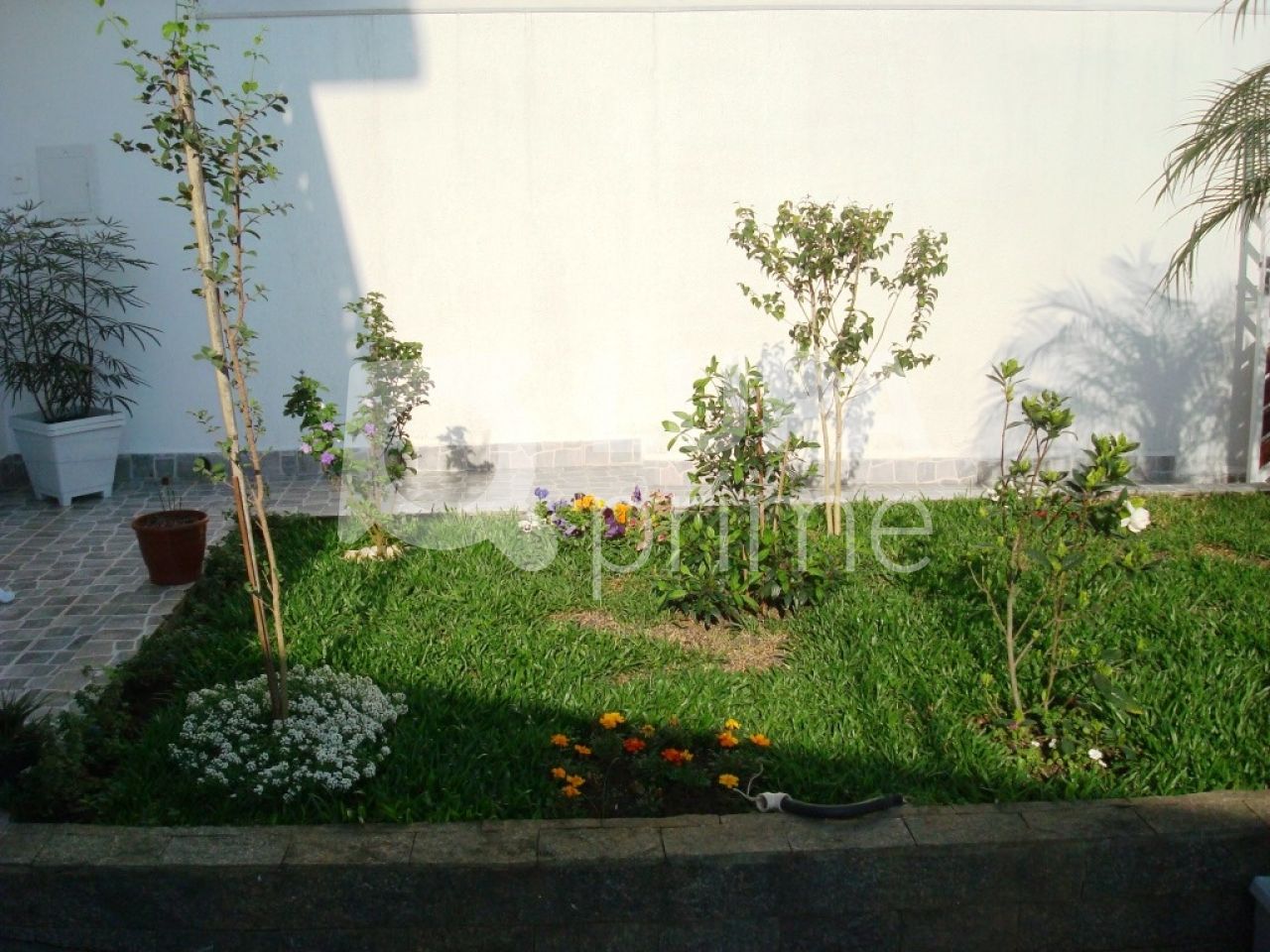 sobrado-venda-sao-paulo-jardim-virginia-bianca-5dormitorios-1suite-3vagas-320m2-LS14807