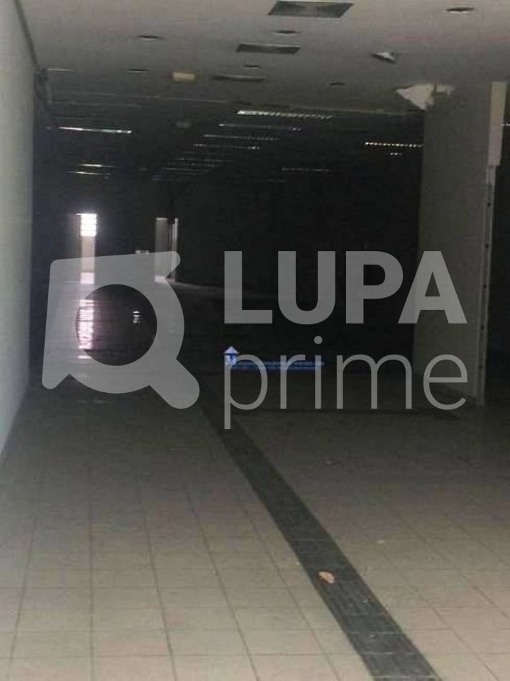 Prédio Inteiro para alugar, 750m² - Foto 6