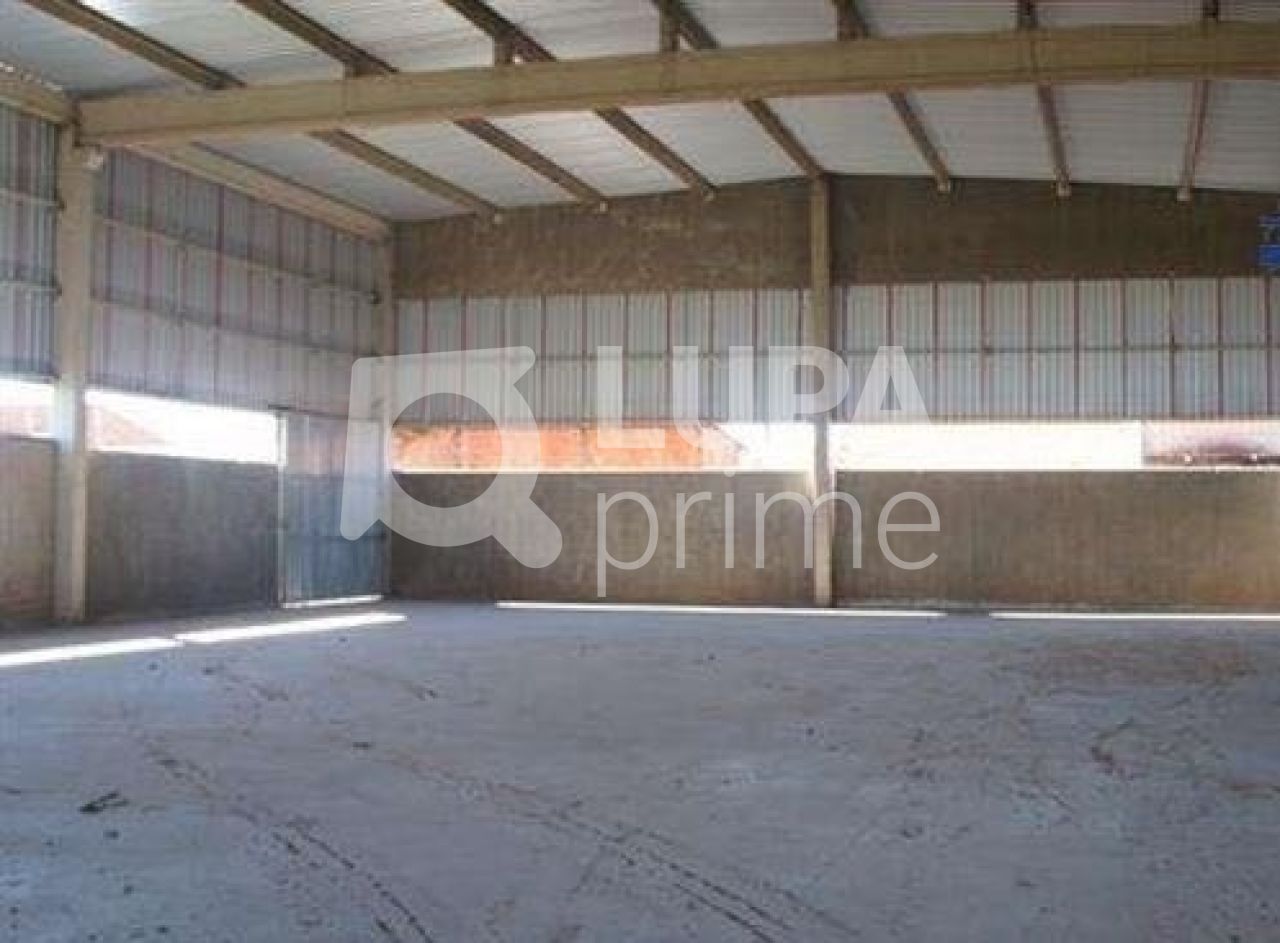 Terreno, 1 hectares - Foto 5