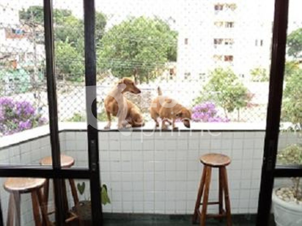 apartamento-venda-sao-paulo-tucuruvi-3dormitorios-1suite-2vagas-96m2-LS1587