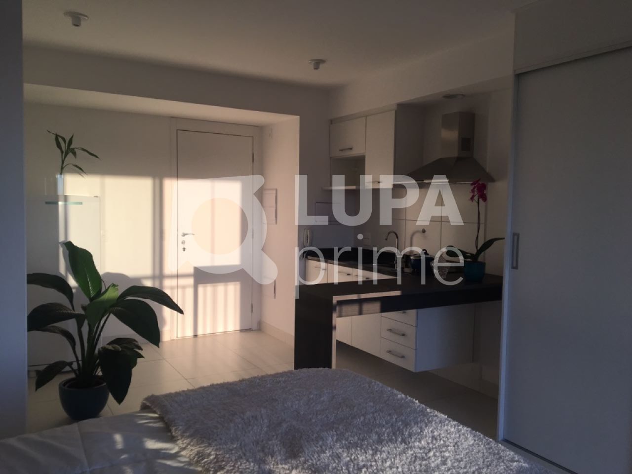 apartamento-venda-sao-paulo-santana-1dormitorio-30m2-LS16387
