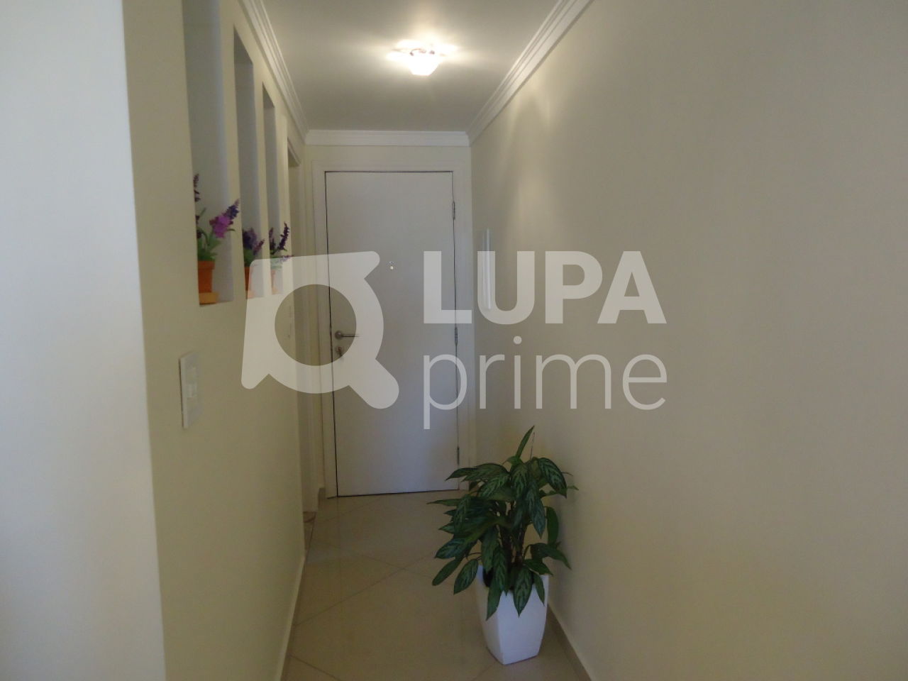 apartamento-venda-sao-paulo-vila-aurora-zona-norte-3dormitorios-1suite-2vagas-94m2-LS16415