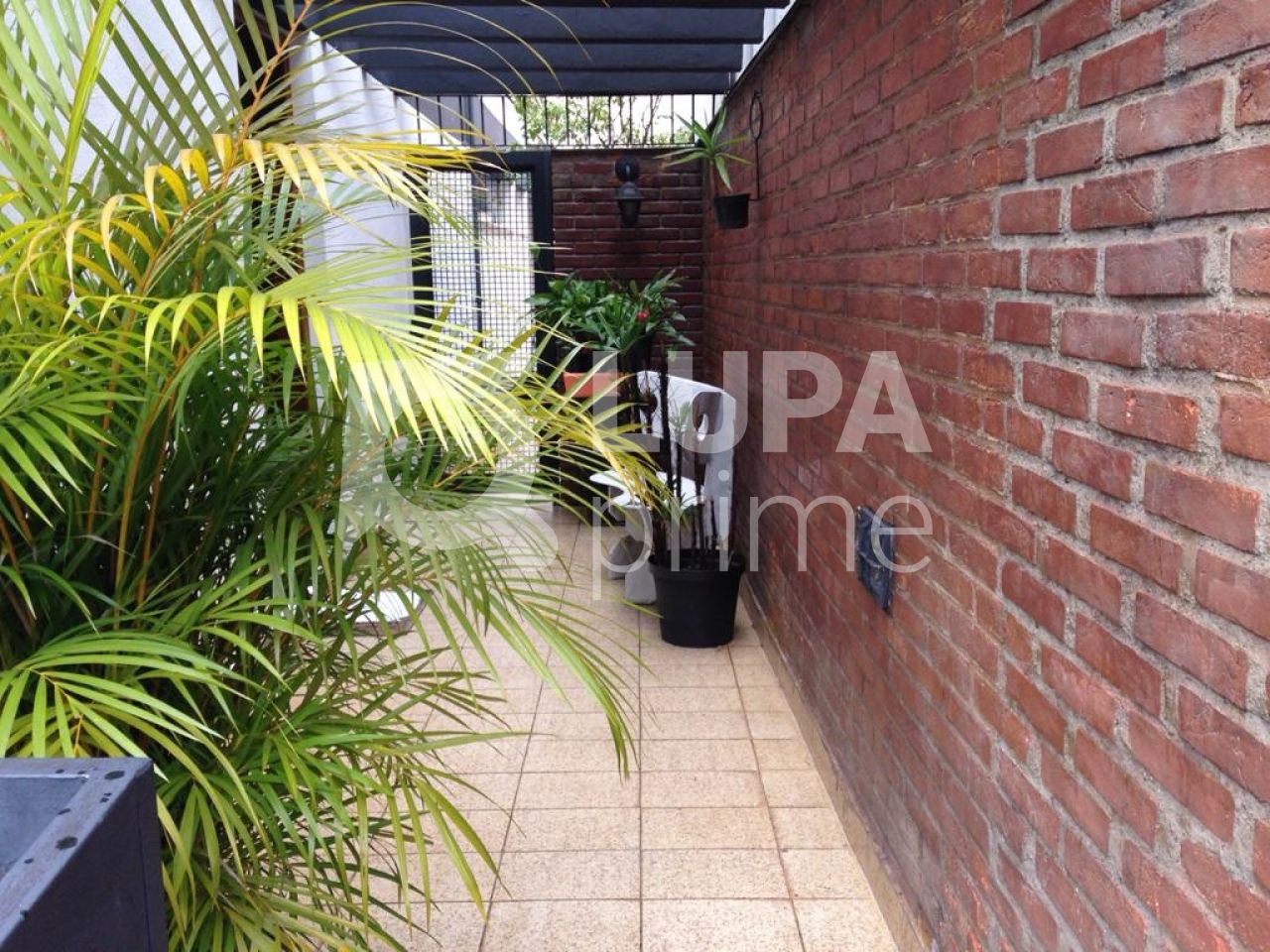 predio-venda-sao-paulo-vila-pauliceia-3vagas-280m2-LS16753