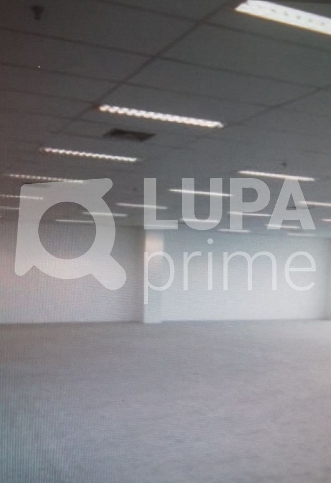 conj-comercial-locacao-sao-paulo-jardim-das-laranjeiras-1000m2-LS17548