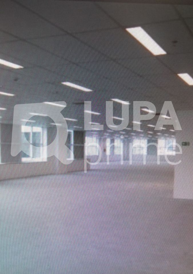 conj-comercial-locacao-sao-paulo-jardim-das-laranjeiras-1000m2-LS17548