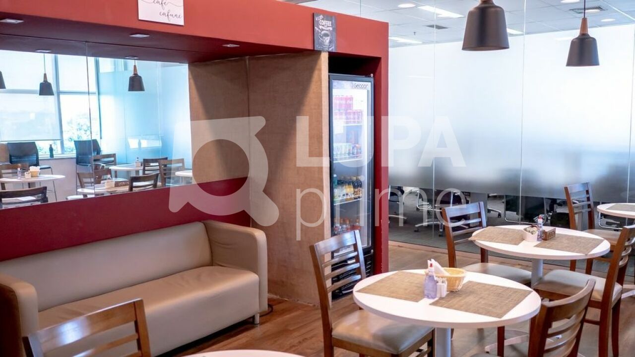 conj-comercial-locacao-sao-paulo-jardim-das-laranjeiras-1000m2-LS17548