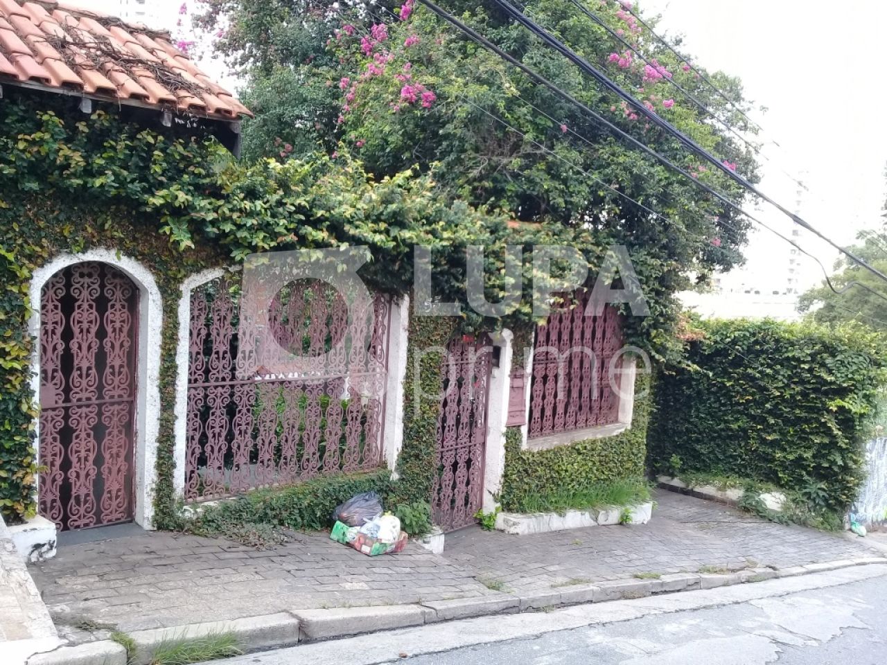 casa-terrea-venda-sao-paulo-mandaqui-3dormitorios-5vagas-254m2-LS17949