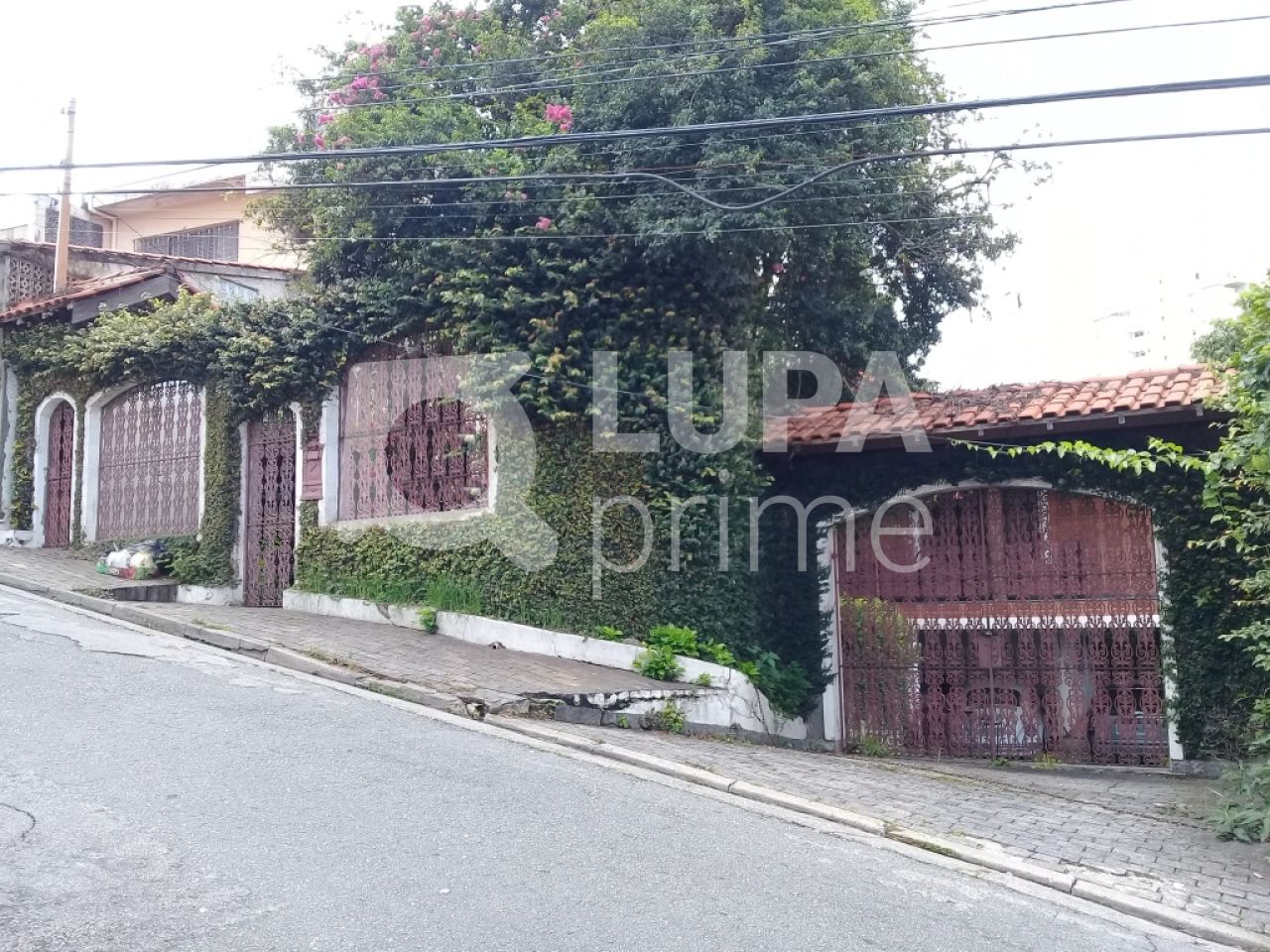 casa-terrea-venda-sao-paulo-mandaqui-3dormitorios-5vagas-254m2-LS17949