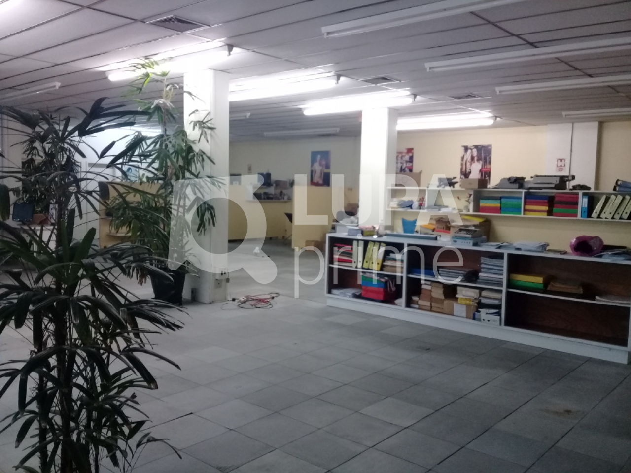 Prédio Inteiro, 8813 m² - Foto 14