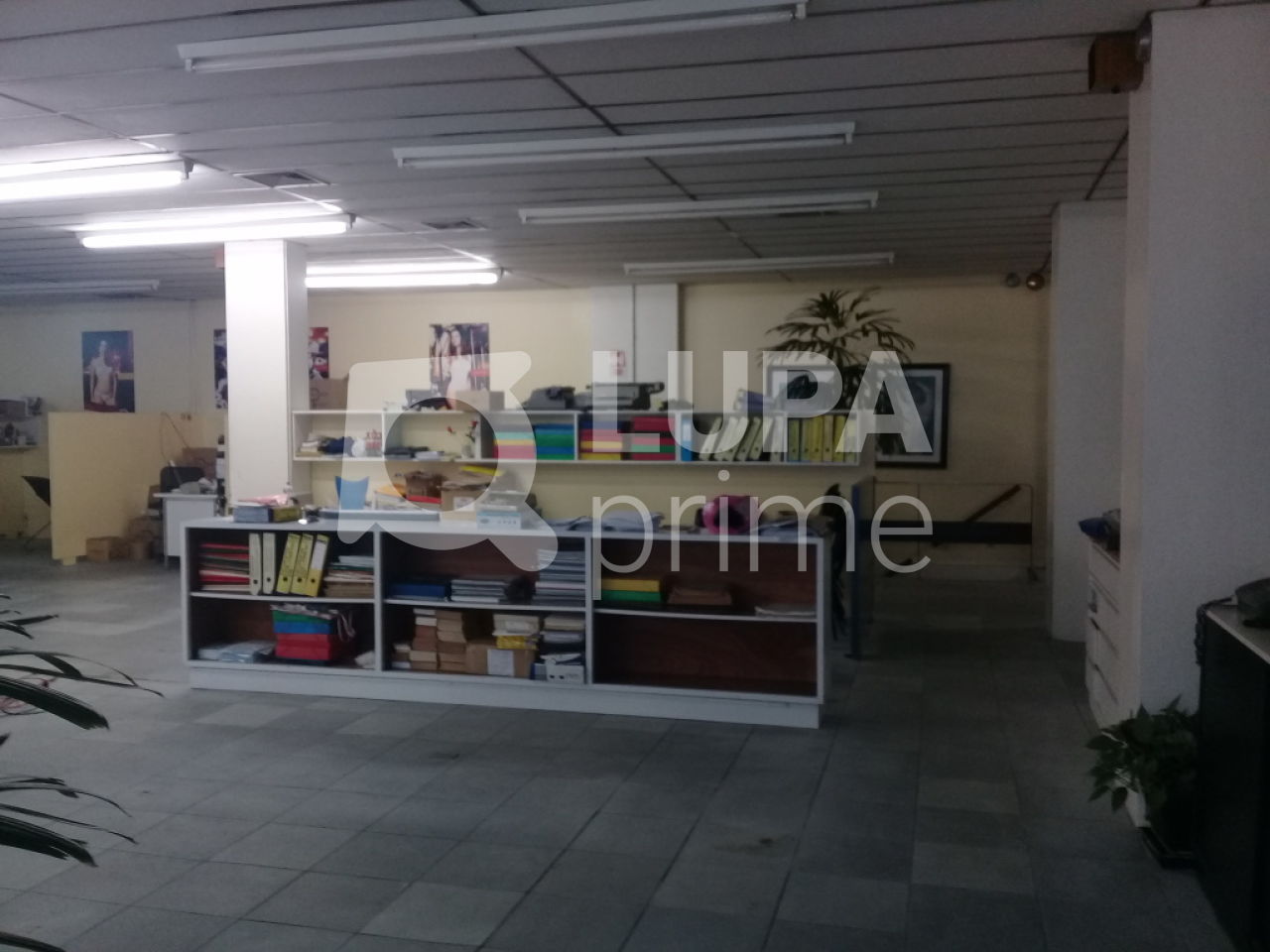 Prédio Inteiro, 8813 m² - Foto 15