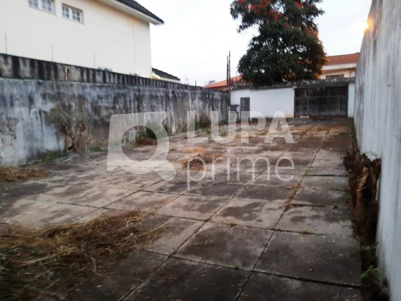 terreno-venda-sao-paulo-tucuruvi-LS18001