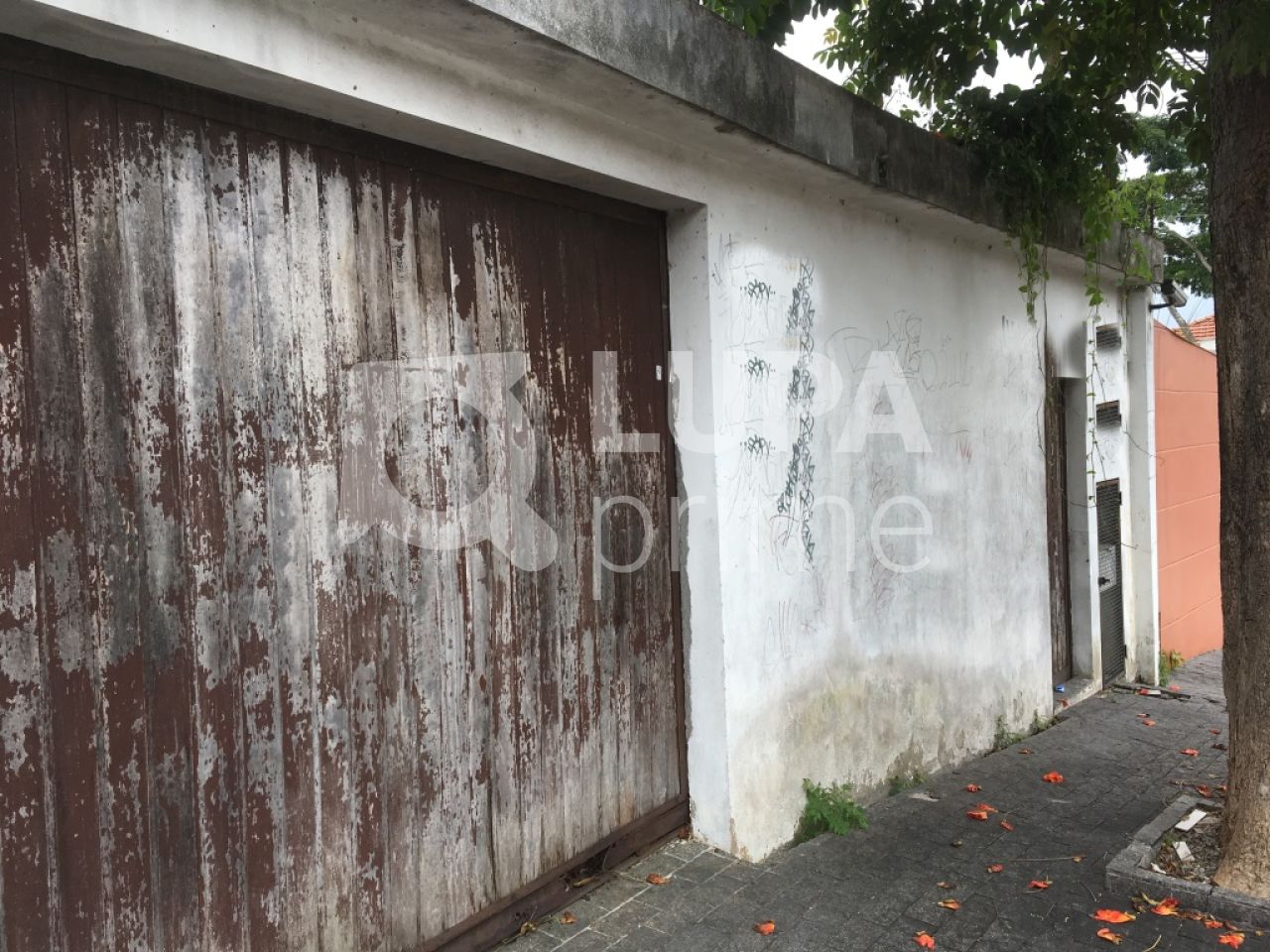 terreno-venda-sao-paulo-tucuruvi-LS18001