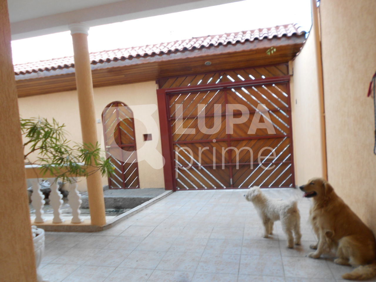 casa-terrea-venda-sao-paulo-parque-edu-chaves-4dormitorios-2suites-6vagas-240m2-LS18303