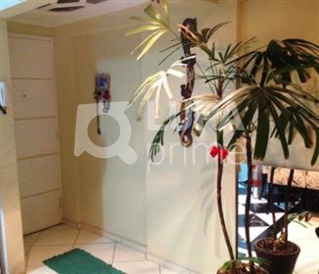 apartamento-venda-sao-paulo-vila-mazzei-2dormitorios-1vaga-52m2-LS1876