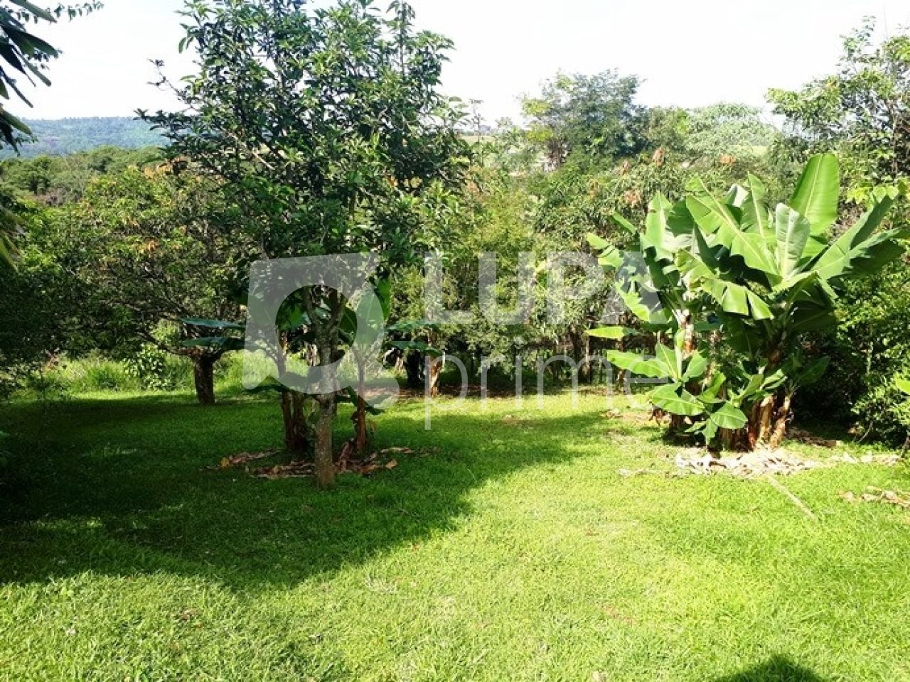 Chácara, 3 quartos, 2 hectares - Foto 4