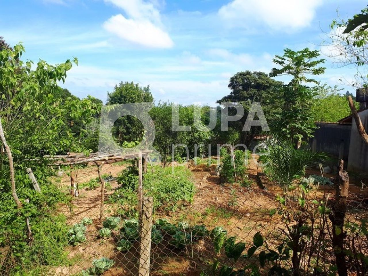 Chácara, 3 quartos, 2 hectares - Foto 5