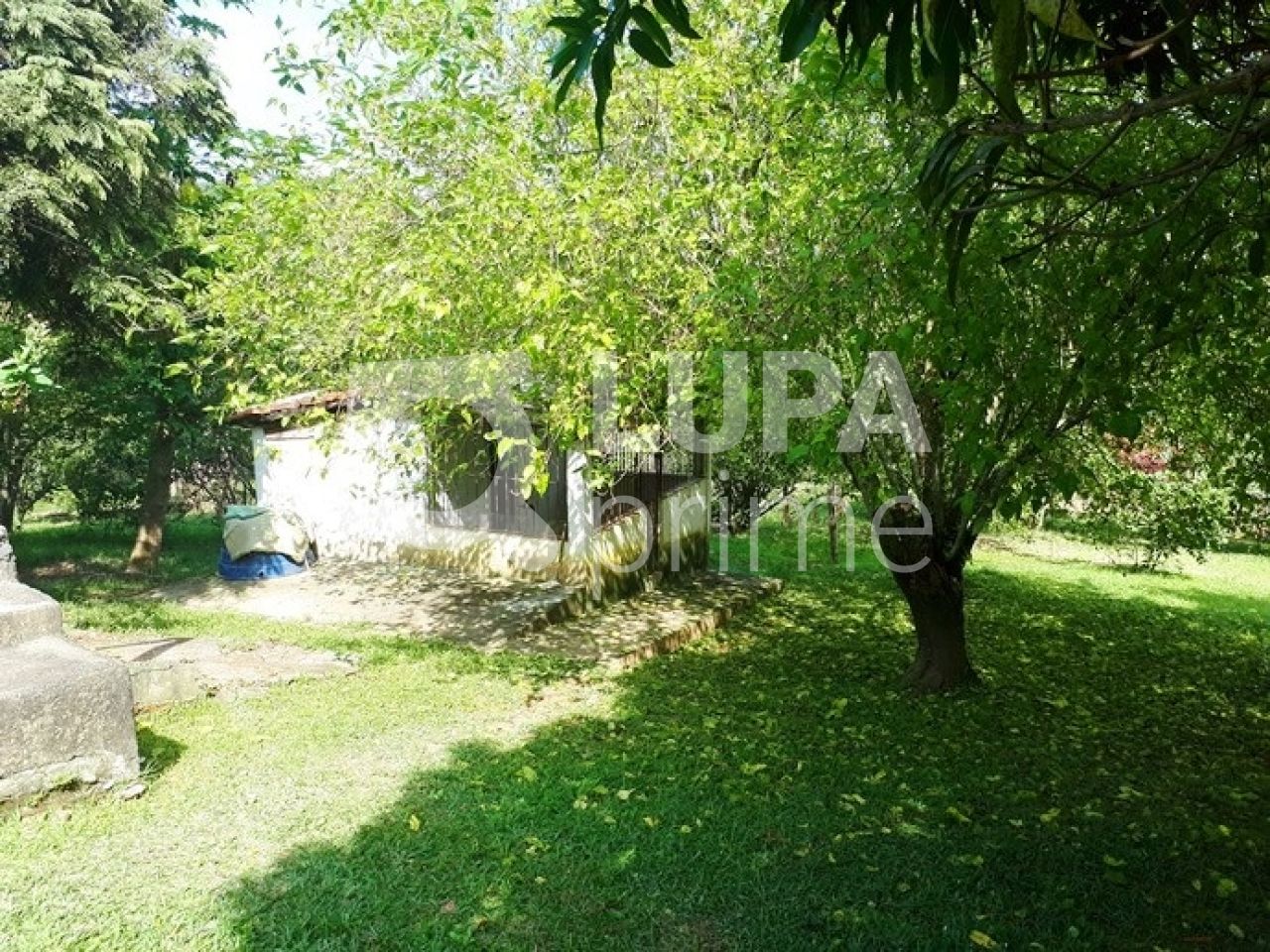 Chácara, 3 quartos, 2 hectares - Foto 7