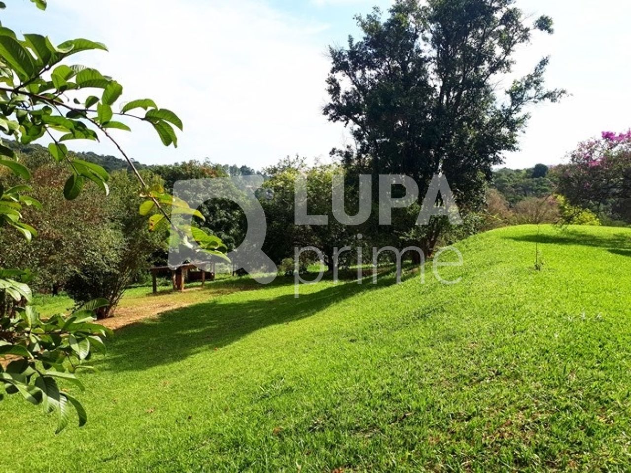 Chácara, 3 quartos, 2 hectares - Foto 9