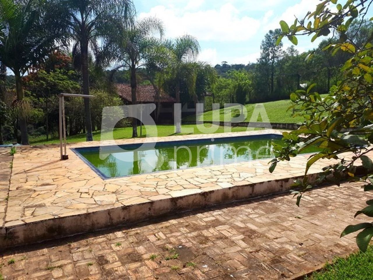 Chácara, 3 quartos, 2 hectares - Foto 10