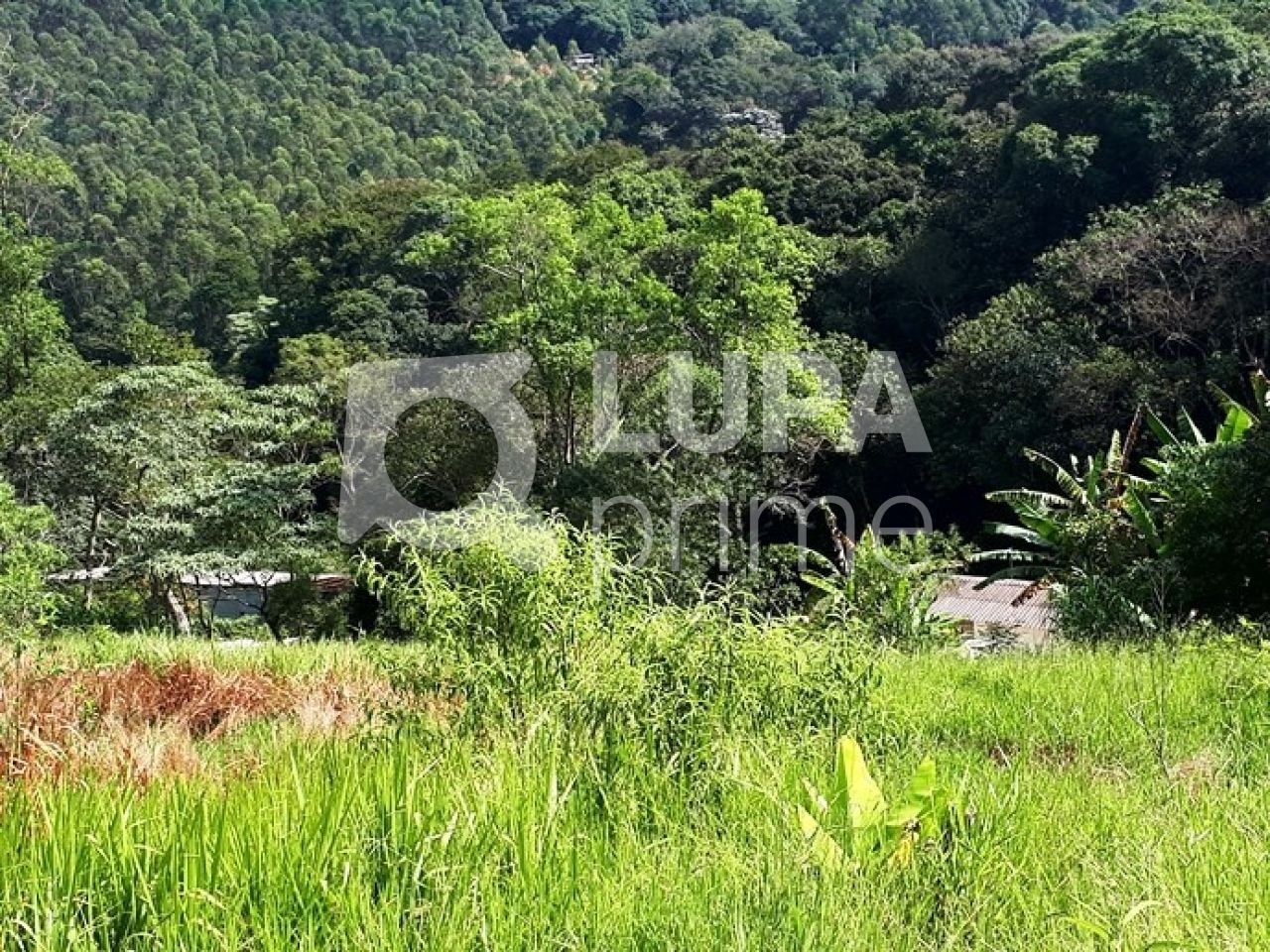 Chácara, 3 quartos, 2 hectares - Foto 14