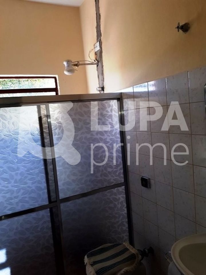Chácara, 3 quartos, 2 hectares - Foto 24
