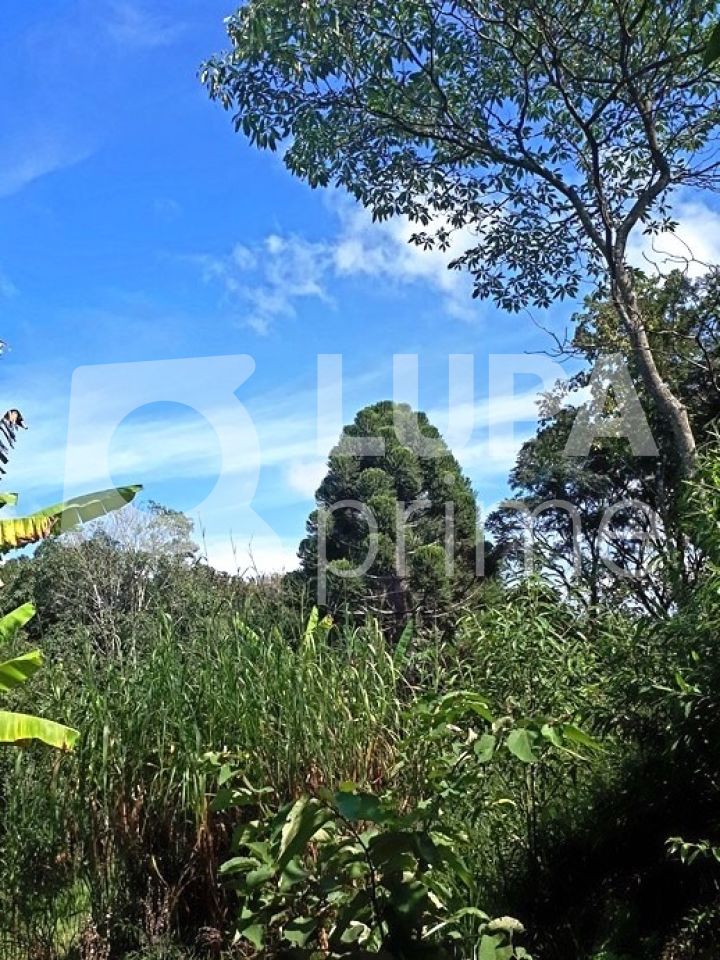 Chácara, 3 quartos, 2 hectares - Foto 26