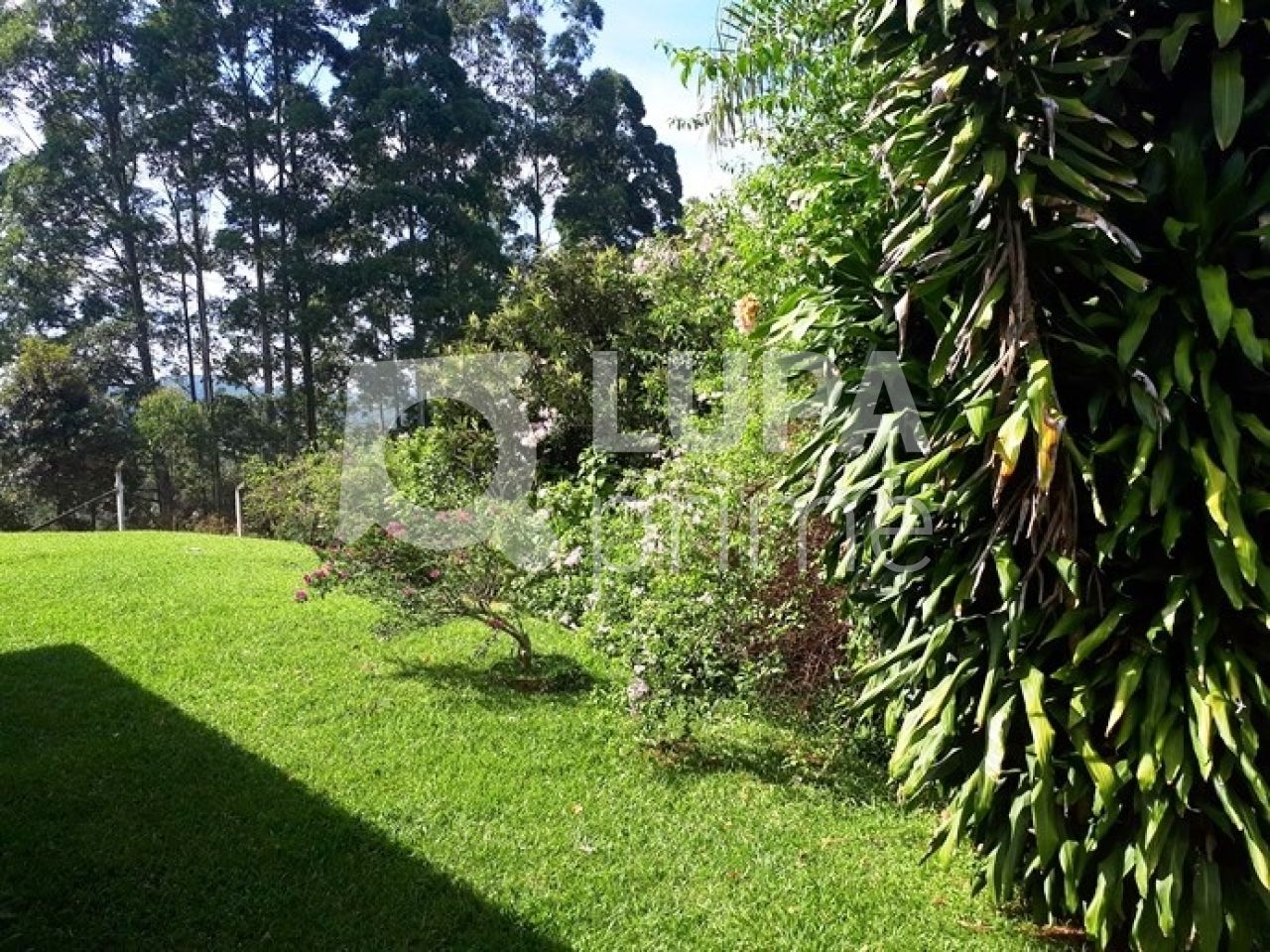 Chácara, 3 quartos, 2 hectares - Foto 28