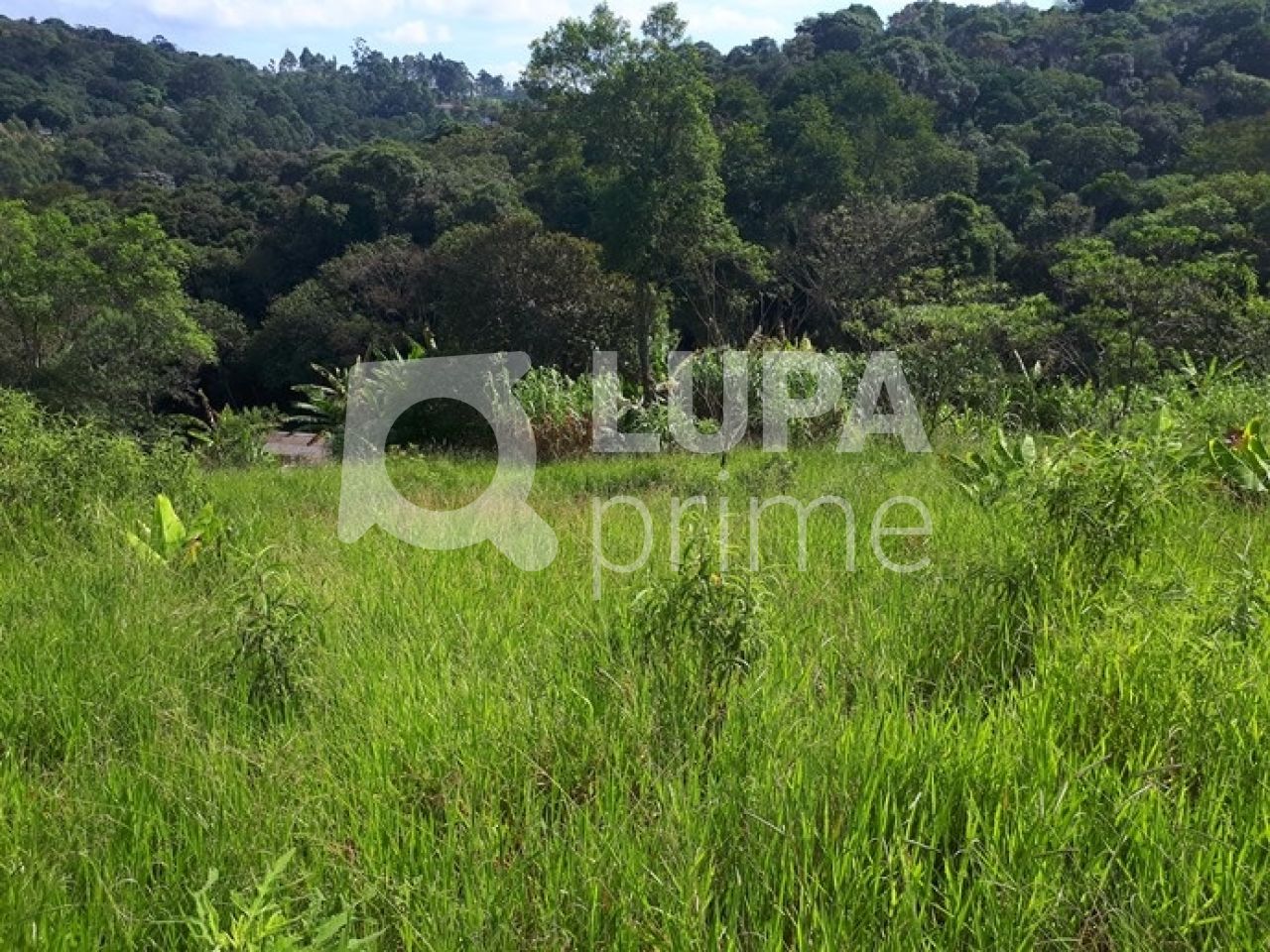 Chácara, 3 quartos, 2 hectares - Foto 29