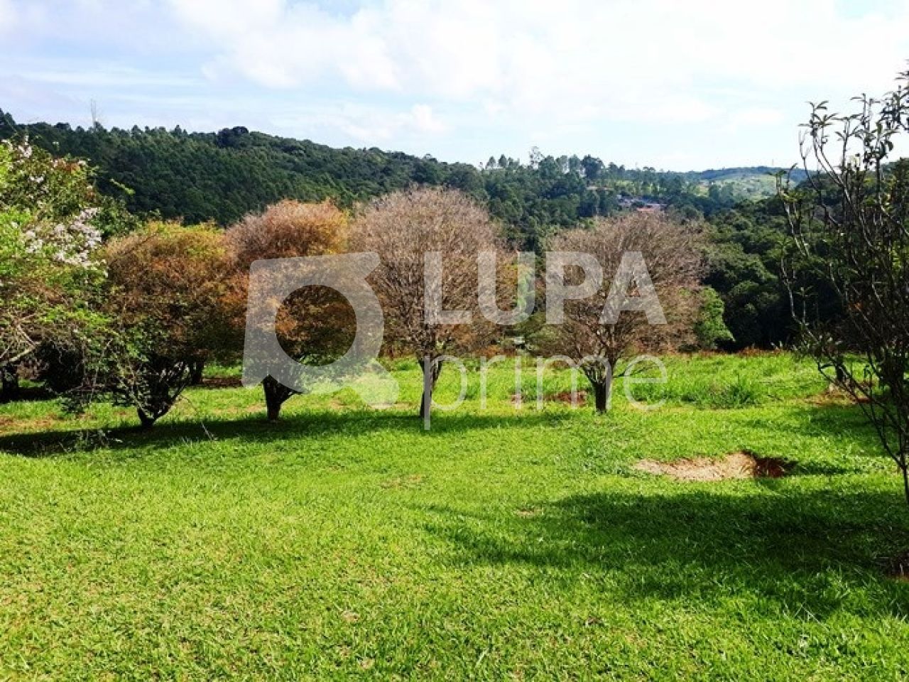 Chácara, 3 quartos, 2 hectares - Foto 30